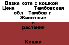 Вязка кота с кошкой › Цена ­ 1 000 - Тамбовская обл., Тамбов г. Животные и растения » Кошки   